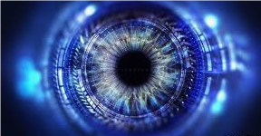 eye